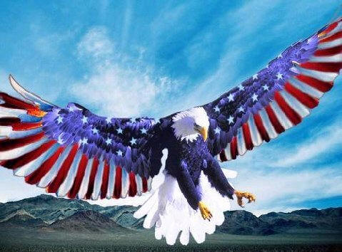 American Eagle 
